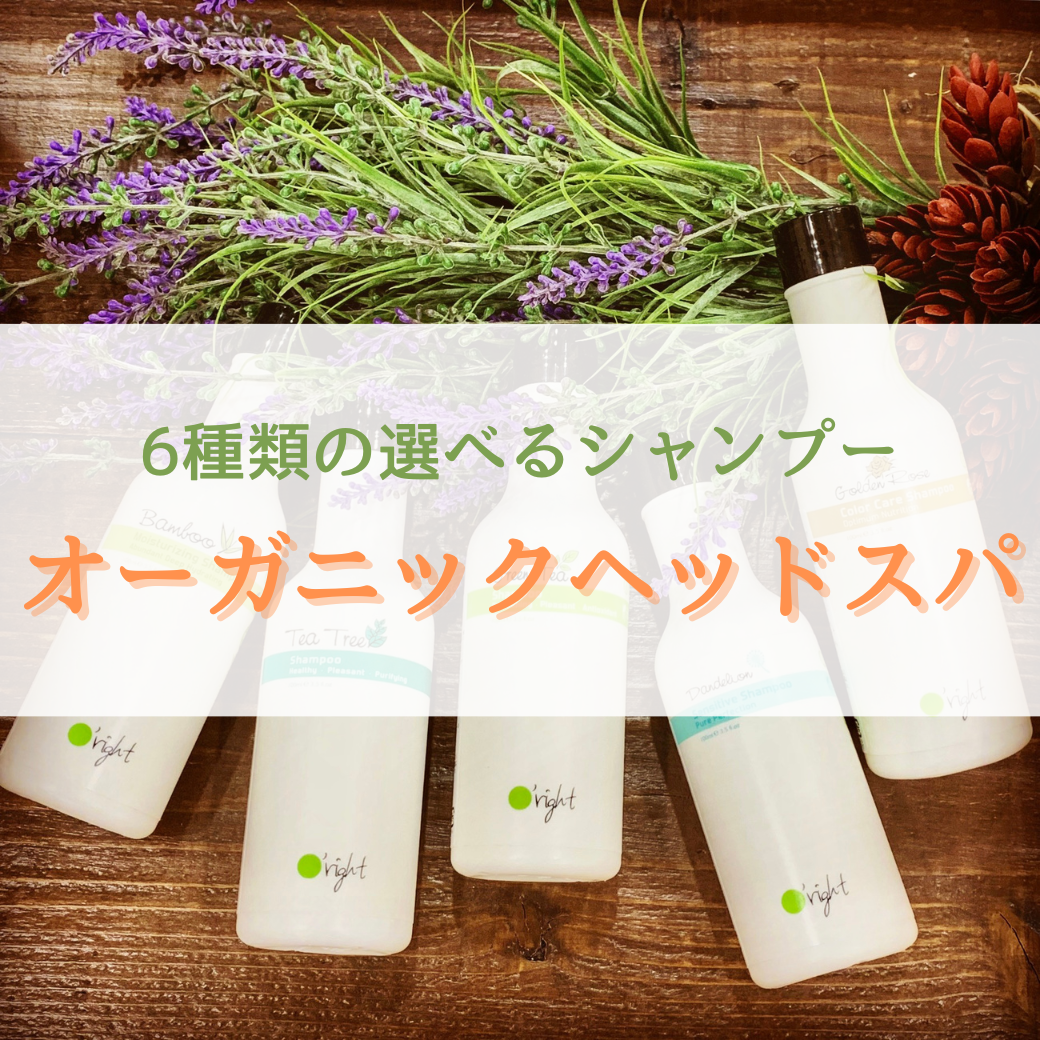 オーガニックヘッドスパ